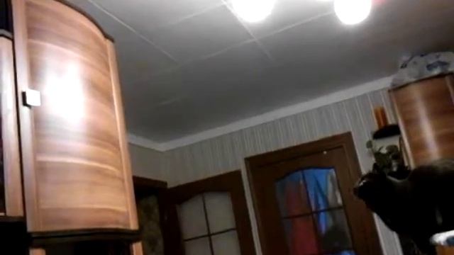 Моя кошка крылатый бес! смотреть онлайн