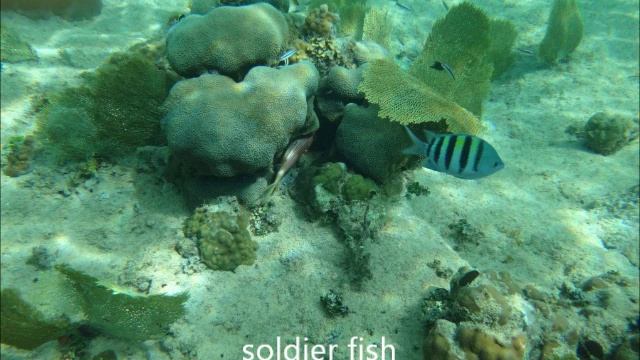 grand cayman 2015 смотреть онлайн