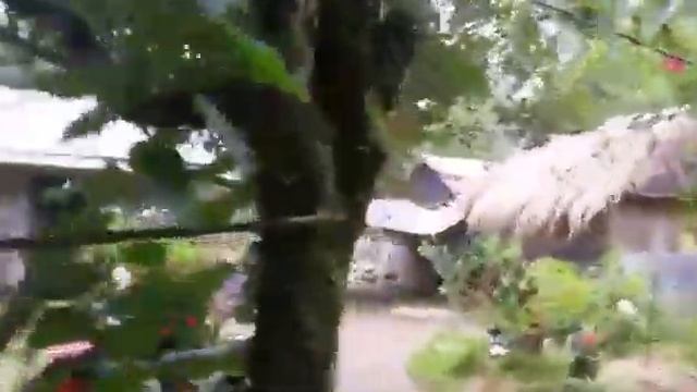 12 HAS, FARM LOT FOR SALE, NYUGAN, TITLED 400/SQM, BALER, AURORA # 1410 смотреть онлайн
