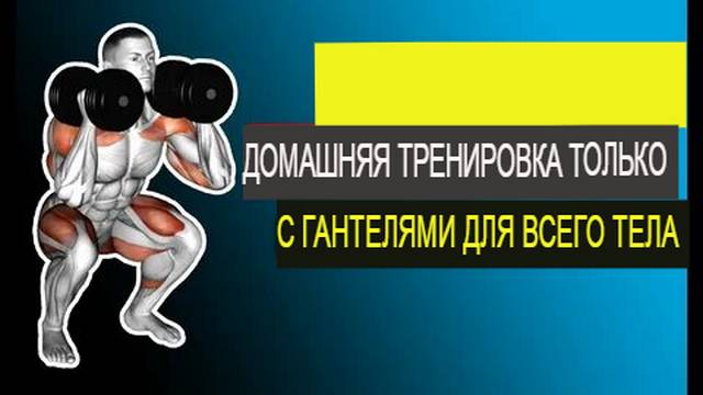 Тренировка всего тела с гантелями в домашних условиях для начинающих (лучшие комплексные упражнения)