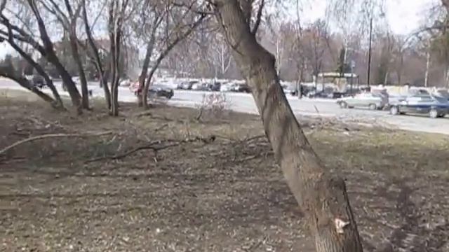 Тобольск, субботник 28 апреля 2017г. ул.Ремезова, сквер у рыбтехникума смотреть онлайн