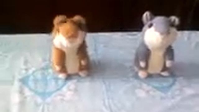 Хомячки Жгут смотреть онлайн