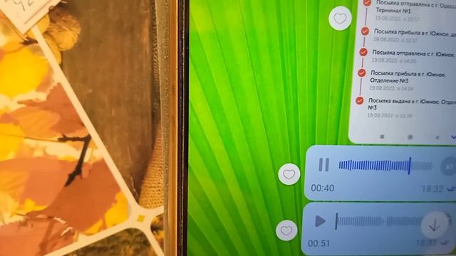 СРОЧНО!!!СМОТРЕТЬ ВСЕМ!!!! Как по вине недобросовестного перевозчика мы попали на 5000 гривен смотреть онлайн