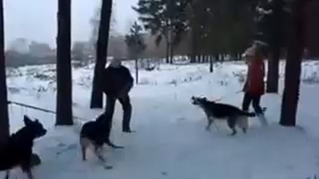 УЛЬНАРА ВЕСТ ЛОЙДА КУСАКИ смотреть онлайн