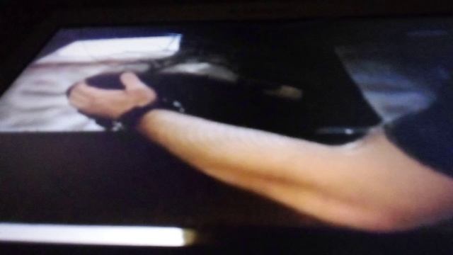 Казанский зооботсад. Ветеринарный тренинг слона Филимона.