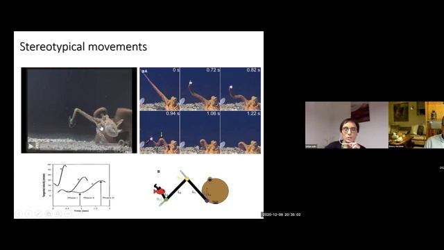 Faraway, Yet So Close! The Octopus and The Human, featuring Prof. Benny Hochner & Dr. Letizia Zullo смотреть онлайн