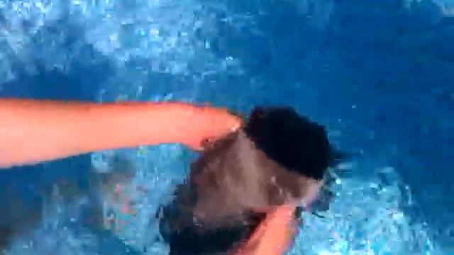 Плавающий кот. ♥♡♥♡ смотреть онлайн