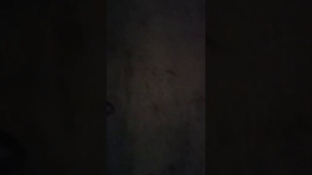 2е квартира в ЖК Мандарин (Саврасова, д86) смотреть онлайн