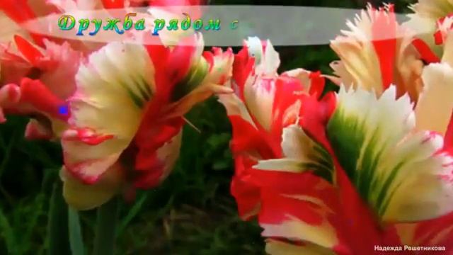 Цветы 💐💐💍💎 смотреть онлайн