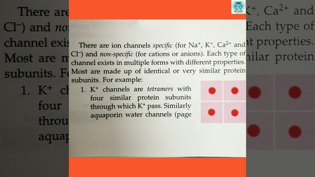 Ion channels, sodium channel, potassium channel, chloride channel #biologynotes #biology #health смотреть онлайн