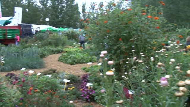 Aktualno: Konec tedna se pričenja Agra 2023 (22.08.2023) смотреть онлайн