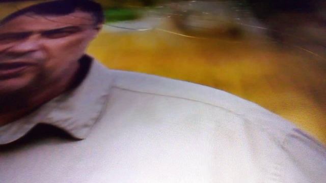 Казанский зооботсад. Шимпанзе в ярости на оператора постановщика.