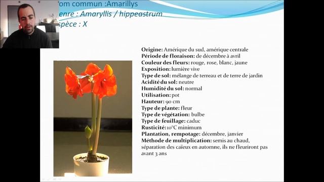 Apprendre les bulbes et les reconnaitre #zeprofdortie смотреть онлайн
