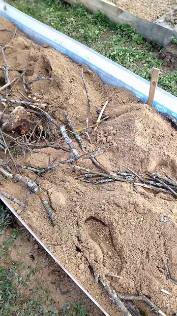 Продолжаю делать грядку под клюкву смотреть онлайн