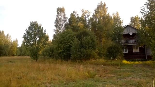 щипцово раннее утро смотреть онлайн