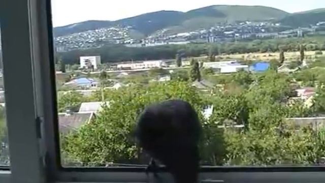 Ворона жонглер xvid смотреть онлайн