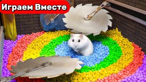 Хомяк сбегает из ОЧЕНЬ ОПАСНОЙ ТЮРЬМЫ С ЛОВУШКАМИ ! Видео для детей ! Умный ХОМЯК !