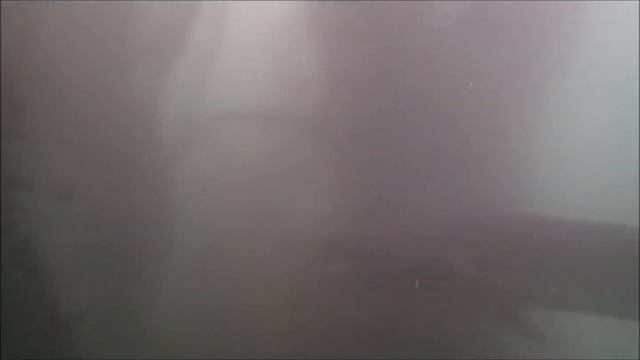 Shark Tales from the Cove смотреть онлайн