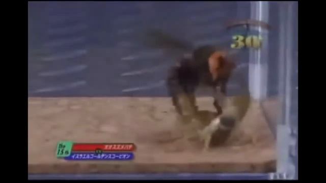 Mortal Kombat Шершень против паука и скорпиона смотреть онлайн