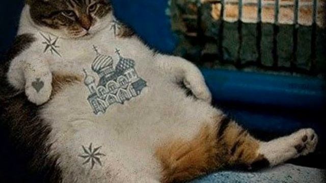 Маргарита, я шучу... Желаю здоровья Вашему мужу! смотреть онлайн