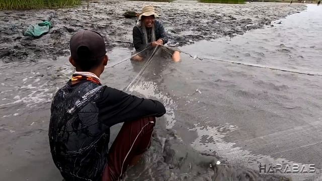 EP178-Part1 - Huge Prawns, Mud Crabs and Milk Fish | Paninimot sa Palaisdaan | Catch 'n Cook смотреть онлайн