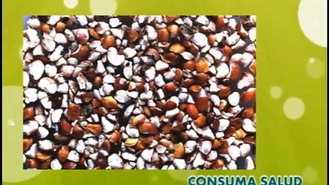 consuma salud, el sorgo смотреть онлайн