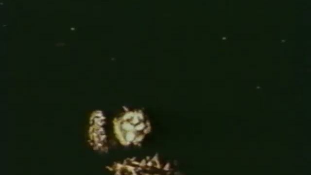 Лафертовская маковница смотреть онлайн