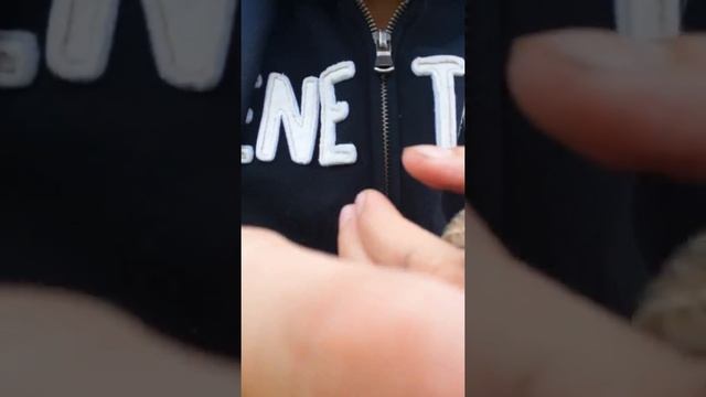 Ловим ящерку смотреть онлайн