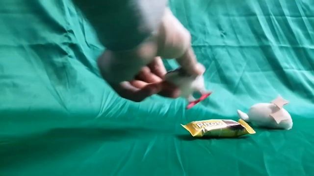 Satisfying Video I With Animal Toys | Cocomelon, Vlad and Niki, Like Nastya For Kids | Lollipops смотреть онлайн