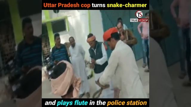 Uttar Pradesh cop turns snake-charmer and plays flute in the police station смотреть онлайн