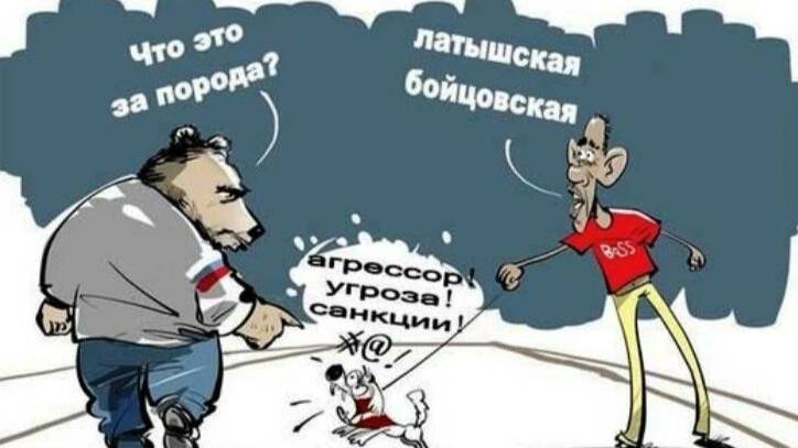 Их не выгоняют, их просто... смотреть онлайн