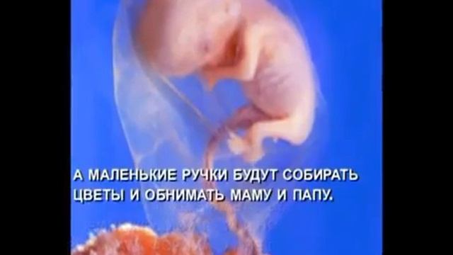 Дневник нерождённого ребёнка