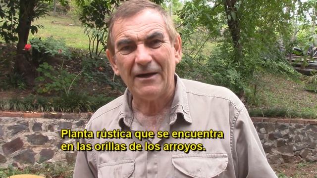 Naranja Apepú смотреть онлайн
