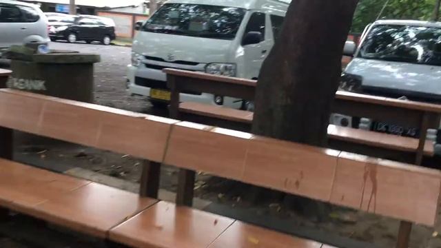 Лес обезьян Бали | forest monkey смотреть онлайн