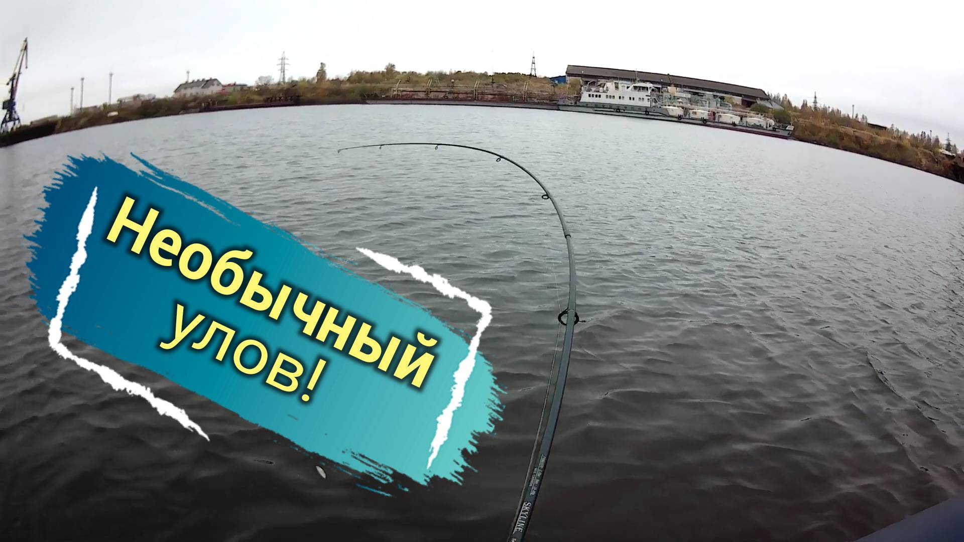 Рыбалка троллингом. Необычный улов