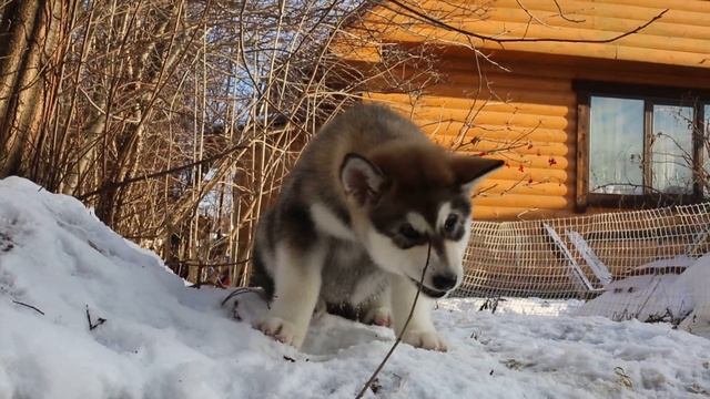 2Q3A4393 смотреть онлайн