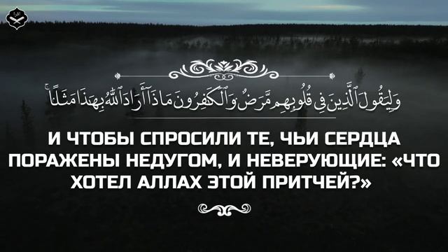 Сура Аль-Муддассир (завернувшийся)
Чтец: Абдуллах Хумейд смотреть онлайн