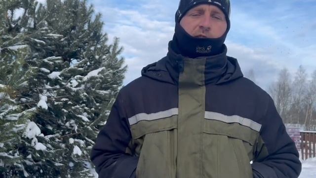 Социальный ролик: как помочь бездомным собакам. смотреть онлайн