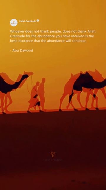 Blessed and Thankful: A Journey of Gratitude in Islam" смотреть онлайн