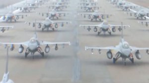 демократию приносим 1488