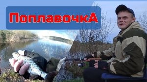 Фидер с поплавком | рыбалка с берега