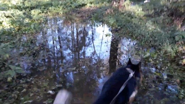 Мой друг. Пастух. смотреть онлайн