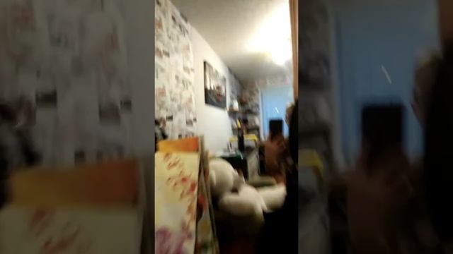 Играю со своей кошкой ФУНЕЙ смотреть онлайн