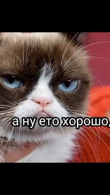а давайте я вашего сына забаню? смотреть онлайн
