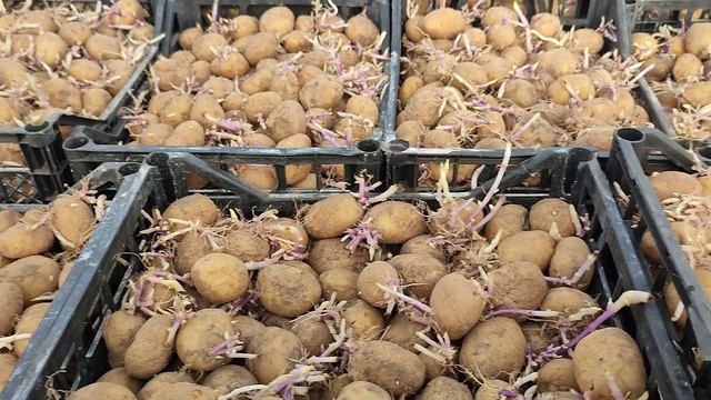 Ціни сьогодні Ринок Великі Копані 1Квітня смотреть онлайн