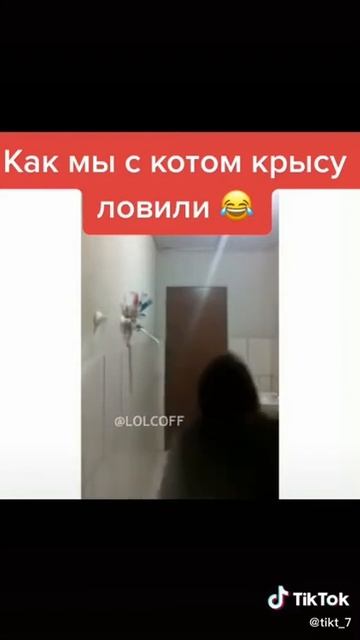 Вот так нада ловить крысу смотреть онлайн