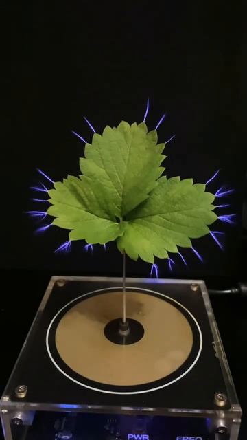 Musik Tesla Coil Musik😱#shots #teslacoil # смотреть онлайн