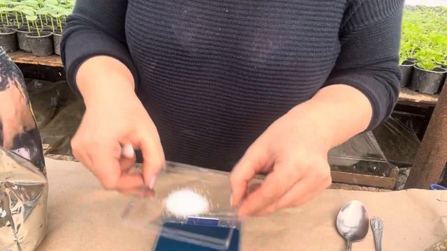 Сколько грамм удобрений в столовой ложке и мерном стакане? Осмокот, монокалий фосфат и др. смотреть онлайн