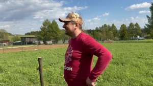 Посев синяка под покров фацелии