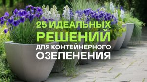 🪴Самые ЛУЧШИЕ МНОГОЛЕТНИКИ для контейнерного озеленения
